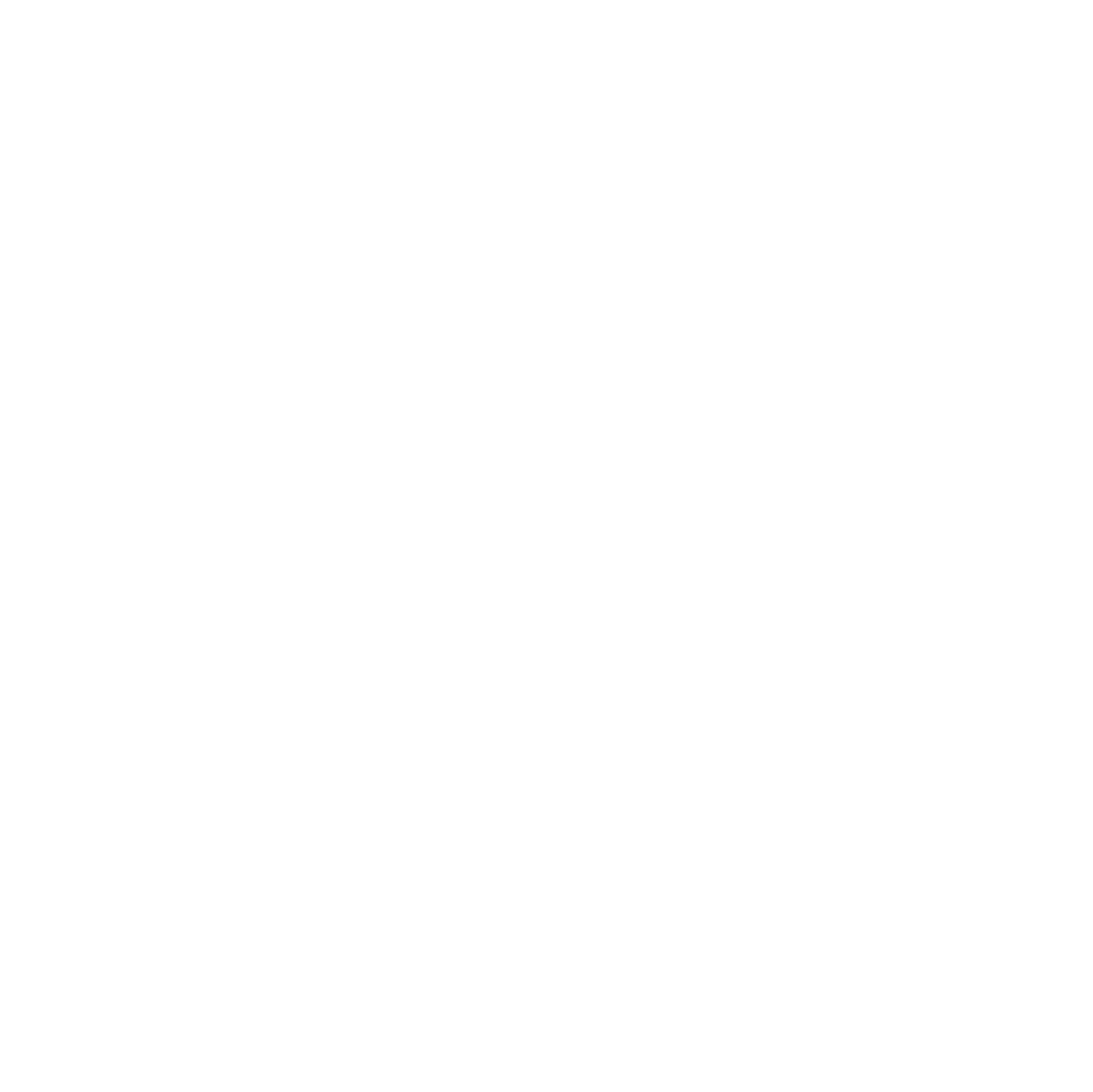 The Audit Firm